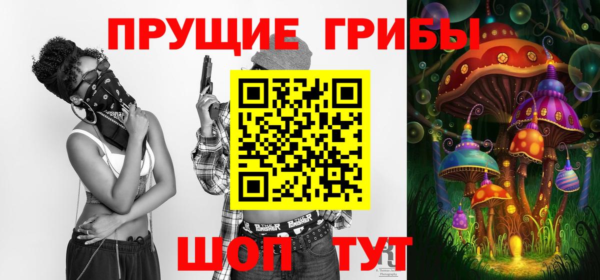 купить наркотик  Галлюциногенные грибы MAGIC MUSHROOMS  Вход с VPN  Псилоцибиновые грибы ЛСД  Зерноград 